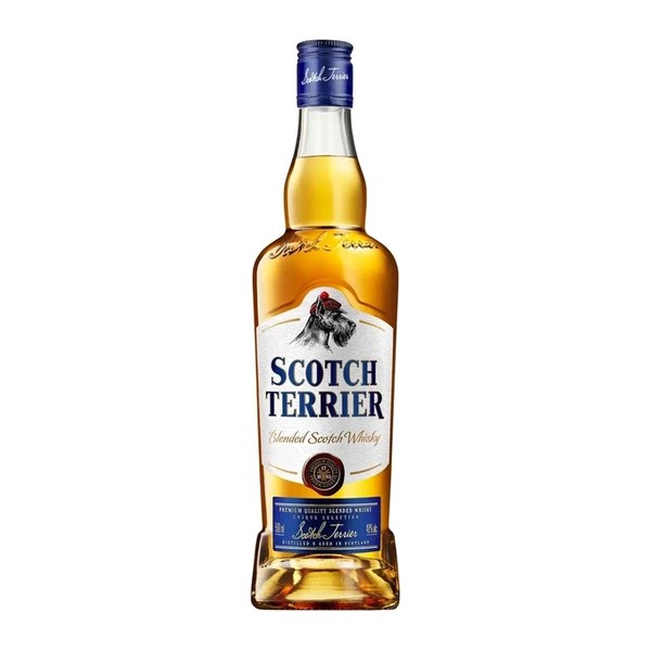 Scotch Terrier Blended